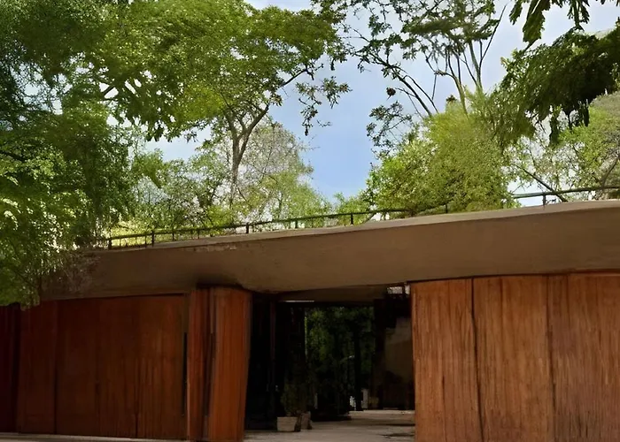 Seremonia Origen * Tulum
