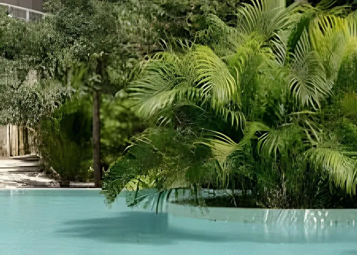 Seremonia Origen Сasa de vacaciones Tulum
